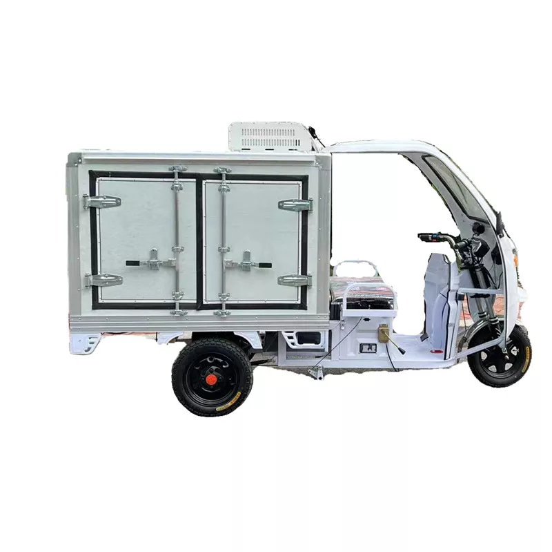 Sheng Kai SKC-E01 Electric Freight Tricycle with Air Conditioning and Insulation for Delivery