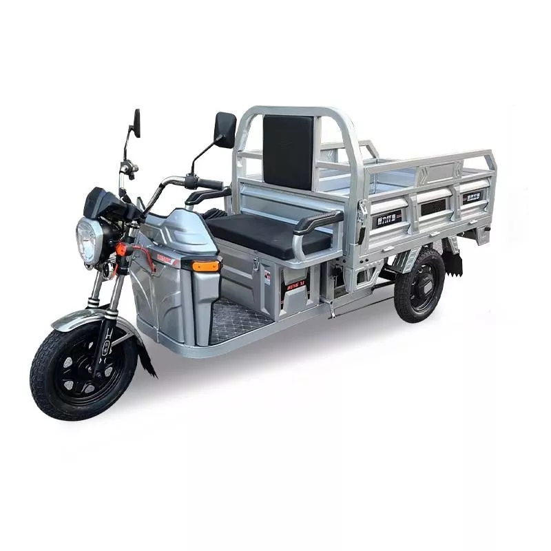 Sheng Kai SKC-EQ1 1.6m New Product 1000W Delivery Electric Tricycle Cargo Truck