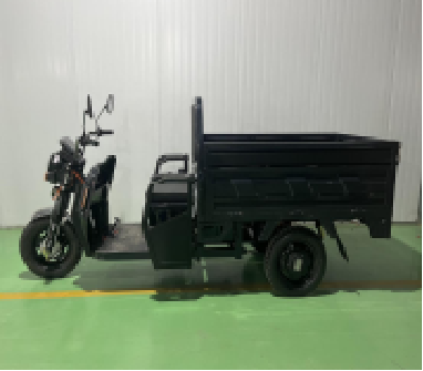Sheng Kai SKC-EQ2 1.5m Popular High quality 60V 30AH 45AH 52AH 1000W Three wheels tricycle electrico