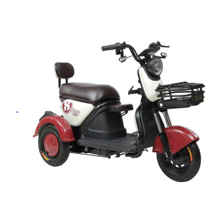 Sheng Kai SKP-ENP04 Leisure Recreational electric mobility tricycle 60V 650W Electric tricycle
