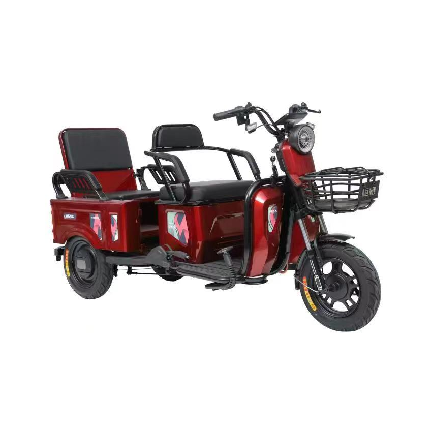 Shengkai SKP-ENP01 Electric Recreational Tricycle – 600W Motor, Comfortable Ride for Adults