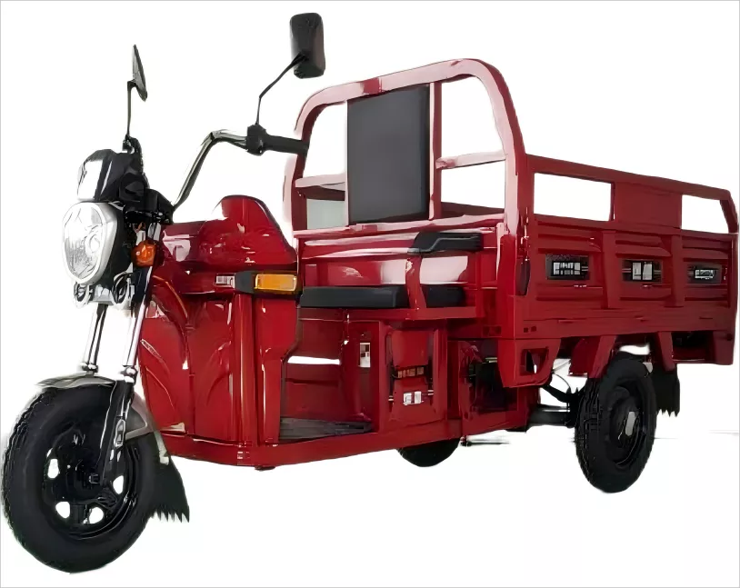 Sheng Kai SKC-EQ1 Adult Electric Tricycle – 1000W, High-Speed, Large 1.5m Cargo Space for Heavy Duty