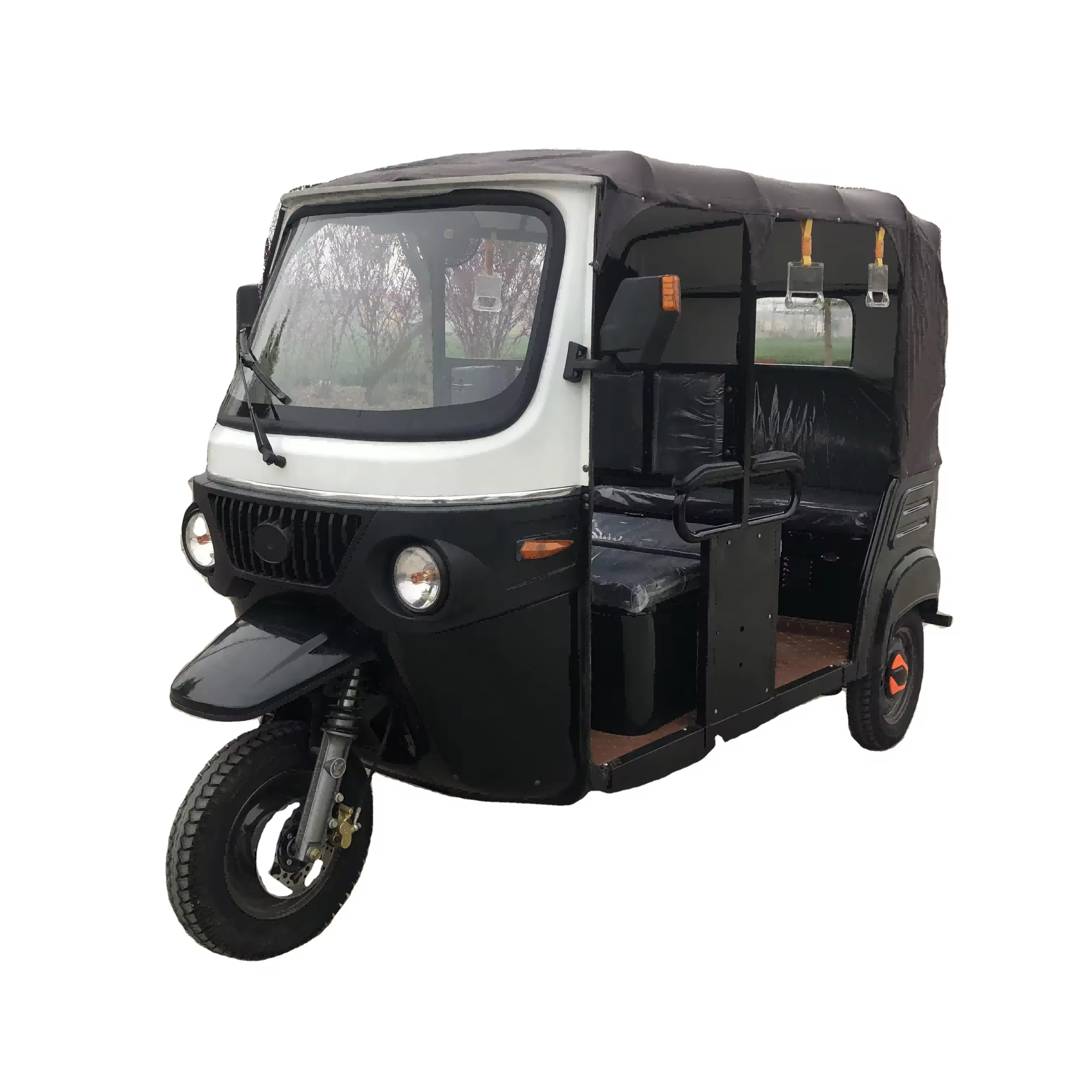 Q1-Passenger Tricycles