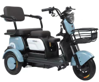 Sheng Kai SKP-ENP03 Three-wheel recreational electric tricycle for family use, easy to use for carry