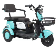 Sheng Kai SKP-ENP03 Three-wheel recreational electric tricycle for family use, easy to use for carry