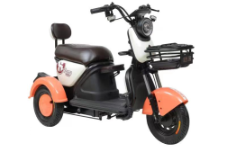 Sheng Kai SKP-ENP04 Leisure Recreational electric mobility tricycle 60V 650W Electric tricycle