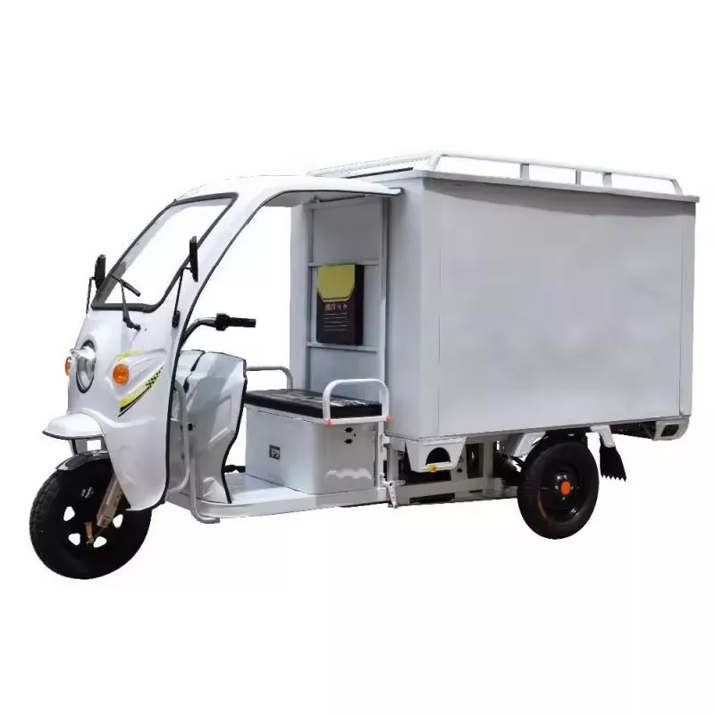 Q1-Cargo Tricycles